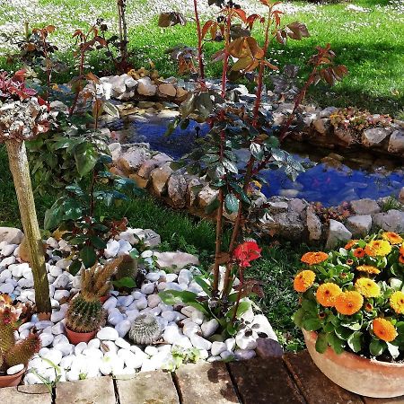 Bed and Breakfast La Ginestra Sirolo Zewnętrze zdjęcie