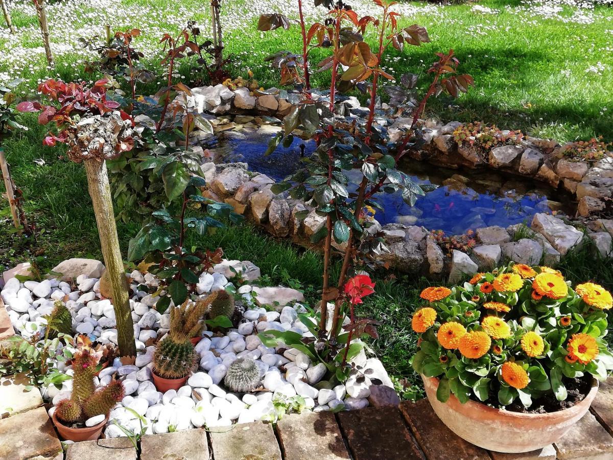 Bed and Breakfast La Ginestra Sirolo Zewnętrze zdjęcie